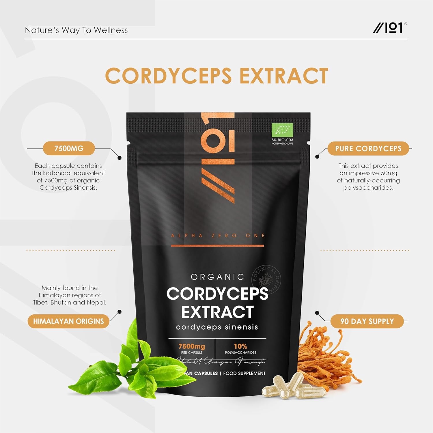 Organic Cordyceps Mushroom Extract 7500Mg – High Strength Polysaccharide