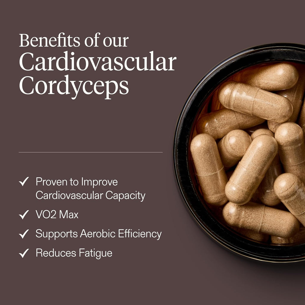 Cordyceps Supplement (60 Capsules) | Cardiovascular Cordyceps Mushrooms Supplement with 25% Polysaccharides | Endurance, Performance and Recovery | Informed Sport Certified