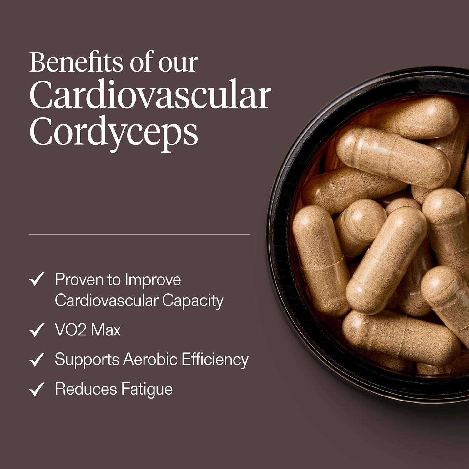 Cordyceps Supplement (60 Capsules) | Cardiovascular Cordyceps Mushrooms Supplement with 25% Polysaccharides | Endurance, Performance and Recovery | Informed Sport Certified