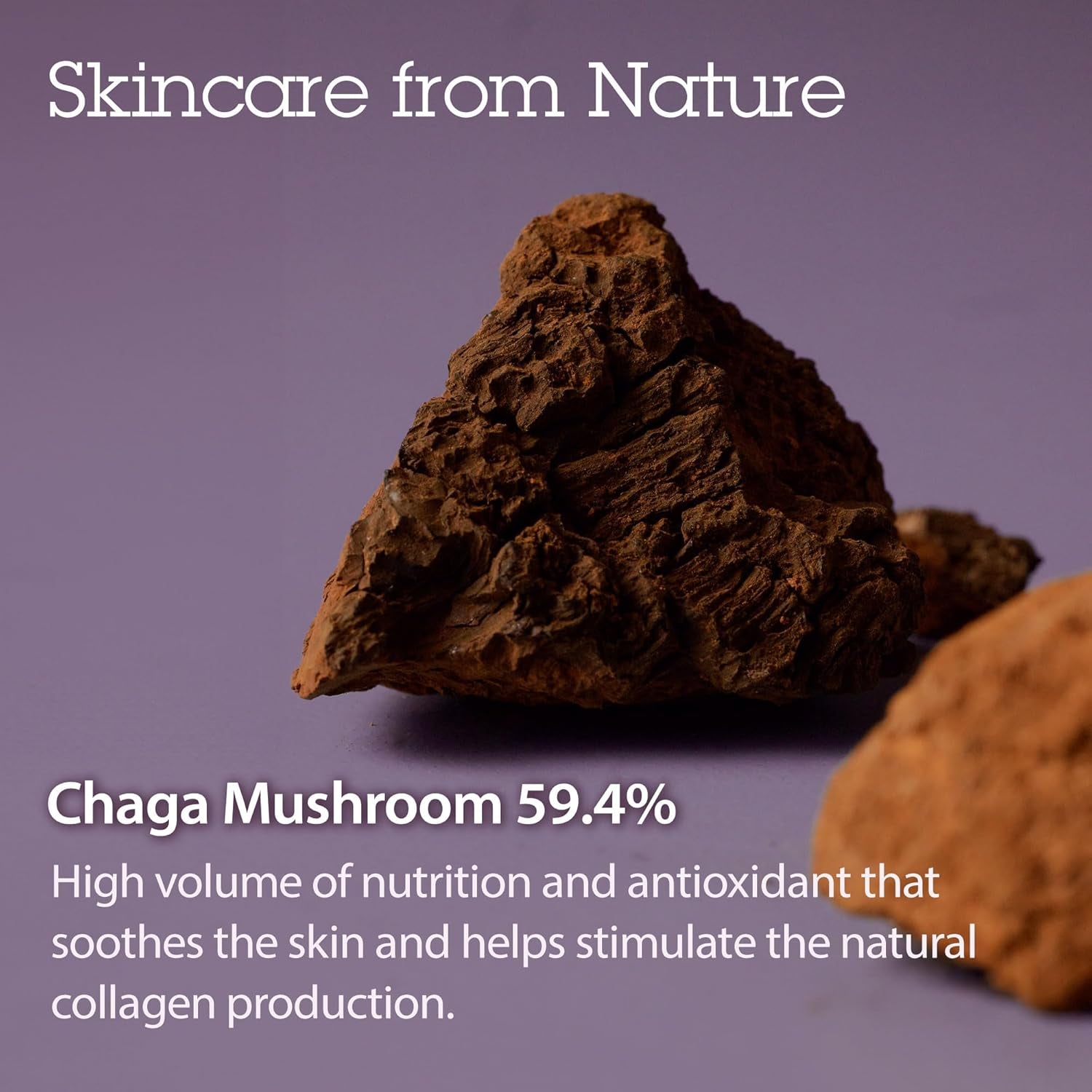 Pressed Serum Tundra Chaga – Anti-Aging Face Cream, Korean Serum with Chaga Extract for Firm Skin, Intense Hydration, and Nourishing Care (50 Ml)