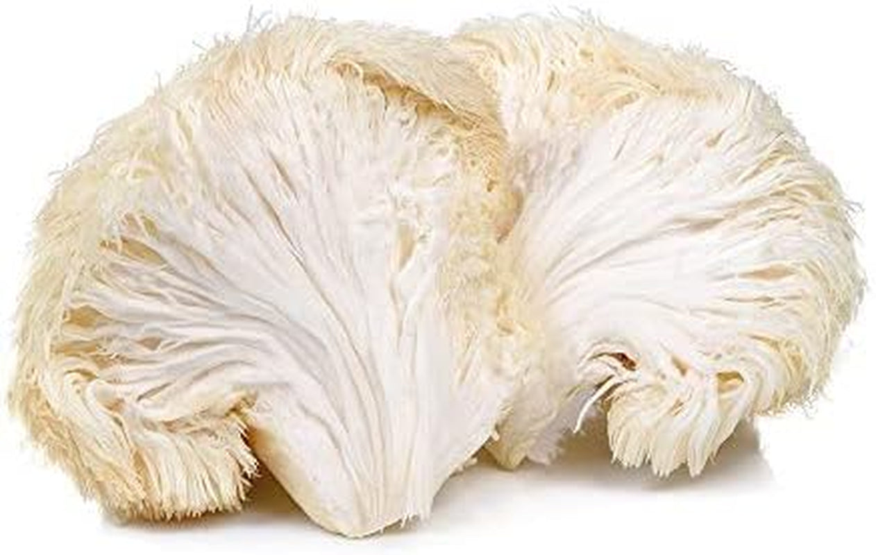 Premium Lion'S Mane Mushroom Powder 200G